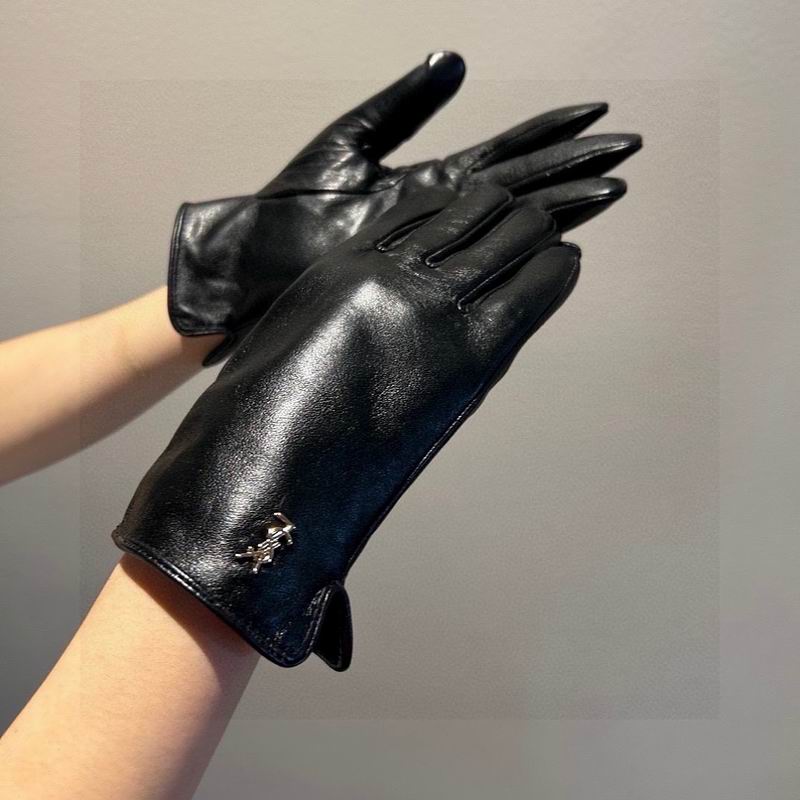 YSL gloves hm05